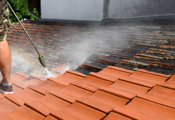 Best Local Pressure Washing Services  in Lacon, IL