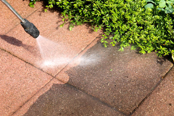 Best Deck Pressure Washing  in Lacon, IL